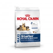 Корм Royal Canin Maxi Starter для щенков крупных пород до 2-х месяцев, беременных и кормящих сук