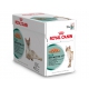 Пауч Набор 12шт Royal Canin Instinctive +7 мелкие кусочки в соусе для кошек старше 7 лет 