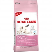 Корм Royal Canin Babycat для котят от 1 до 4 мес, беременных и кормящих сук