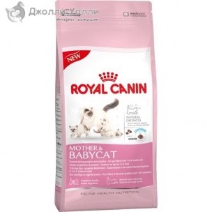 http://jollywolly.ru/1067-1598-thickbox/korm-royal-canin-babycat-dlja-kotjat-ot-1-do-4-mes-beremennyh-i-kormjashhih-suk.jpg