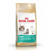 Корм Royal Canin Maine Coon Kitten для котят породы мейн-кун от 3 до 15 месяцев