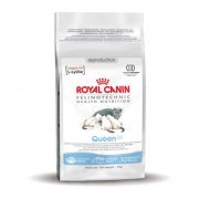 Корм Royal Canin Queen для беременных и лактирующих кошек