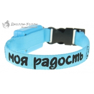 http://jollywolly.ru/1399-2068-thickbox/svetjashhiysja-osheynik-radost-moja.jpg