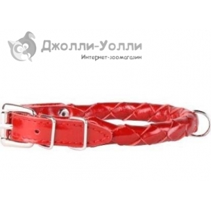 http://jollywolly.ru/1535-2233-thickbox/osheynik-lakirovannyy-collar-pletenyy.jpg