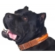 Ошейник Collar двойной с плетеной косой