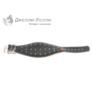 http://jollywolly.ru/1537-2238-thickbox/osheynik-collar-ovalnyy-s-zaklepkami.jpg