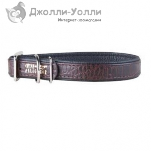http://jollywolly.ru/1645-2440-thickbox/osheynik-collar-alligator-brown.jpg