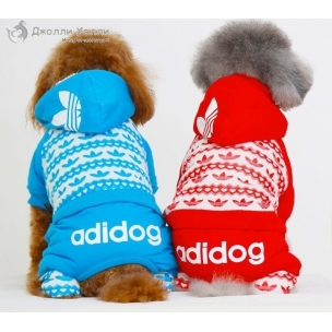 http://jollywolly.ru/1744-2592-thickbox/kombinezon-adidog.jpg