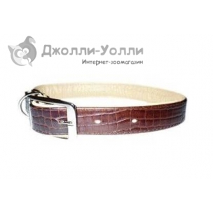 http://jollywolly.ru/1754-2617-thickbox/osheynik-collar-alligator-pearl-brown.jpg