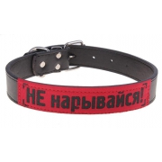 Ошейник "Не нарывайся"