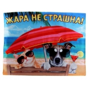 Охлаждающий коврик Пижон "Жара не страшна" small