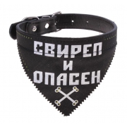 Ошейник "Свиреп и опасен"