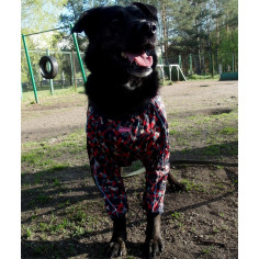 Комбинезон-дождевик ForMyDogs камуфляжный Red для девочки