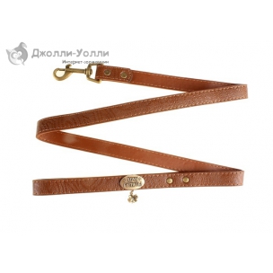 http://jollywolly.ru/69-135-thickbox/povodok-hochu-guljat.jpg