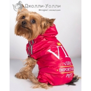 http://jollywolly.ru/893-3064-thickbox/kombinezon-vip.jpg