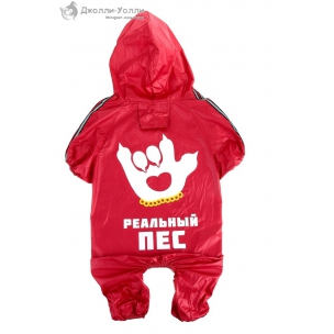 http://jollywolly.ru/901-1308-thickbox/kombinezon-dojdevik-realnyy-pes-.jpg
