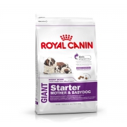 Корм Royal Canin Giant Starter для щенков очень крупных пород до 2-х месяцев, беременных и кормящих сук