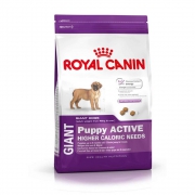 Корм Royal Canin Giant Puppy Active для для активных щенков очень крупных пород с 2 до 8 месяцев